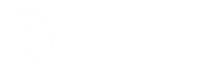 Segmenty
